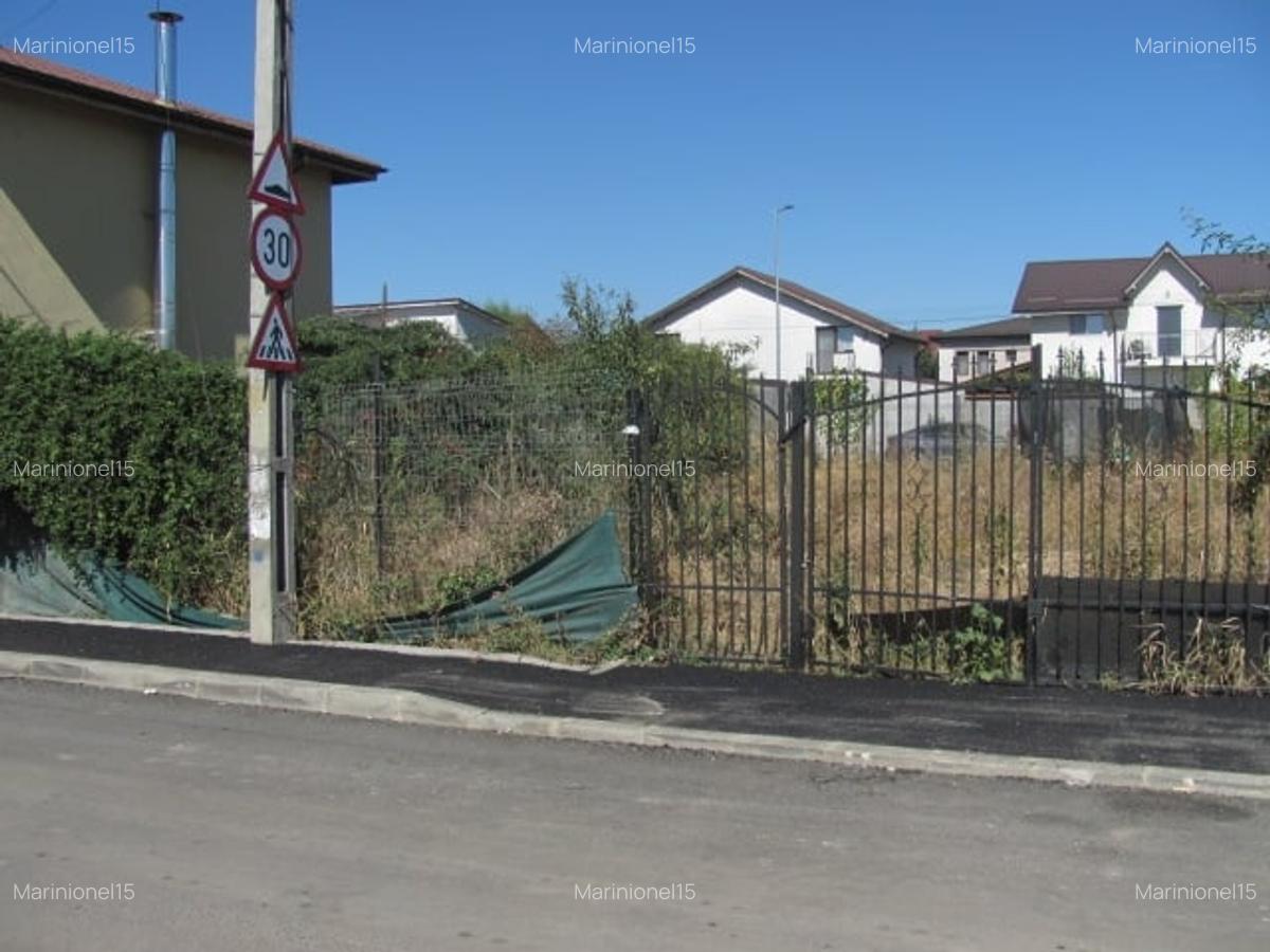 Bragadiru - Zona Haliu, Stradal - 3