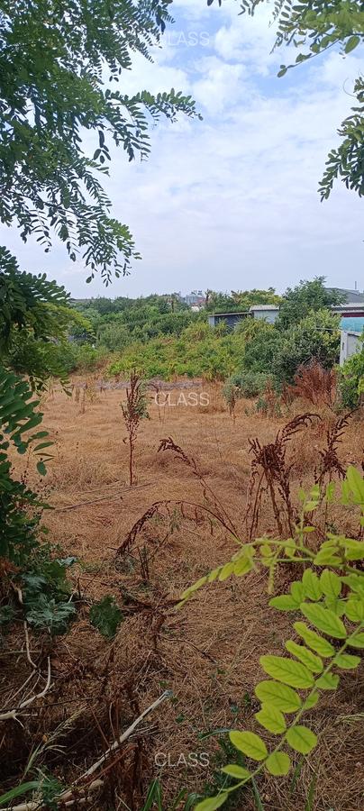 Lumina, 3300 mp, intravilan, zona Primărie - 5 Lumina, 3300 mp, intravilan, zona Primărie - 5