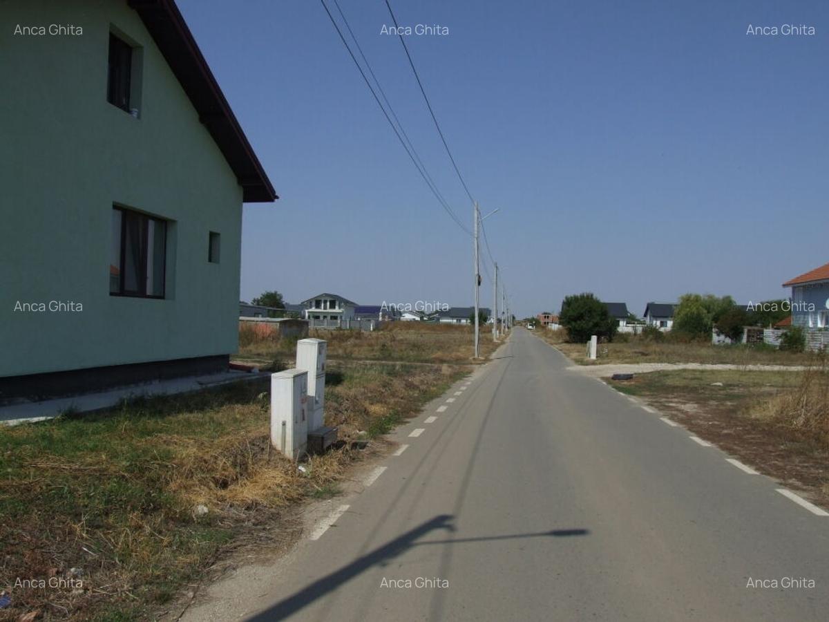 Domnesti-Salciei-stradal - 2