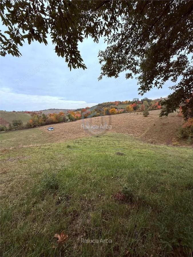 Teren intravilan 17,265 mp in Tomnatic, comuna Vadu Crisului - 4