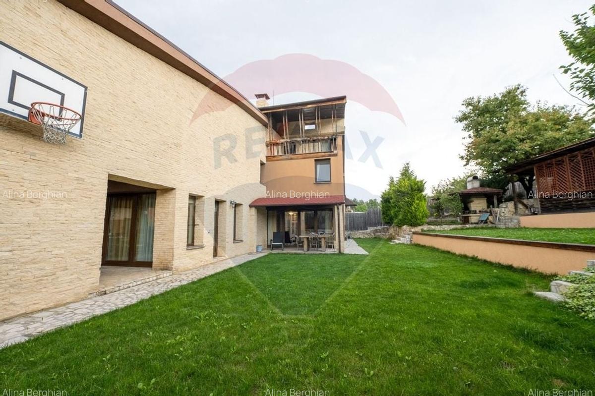 Vila spectaculoasa de vanzare in Faget - 8