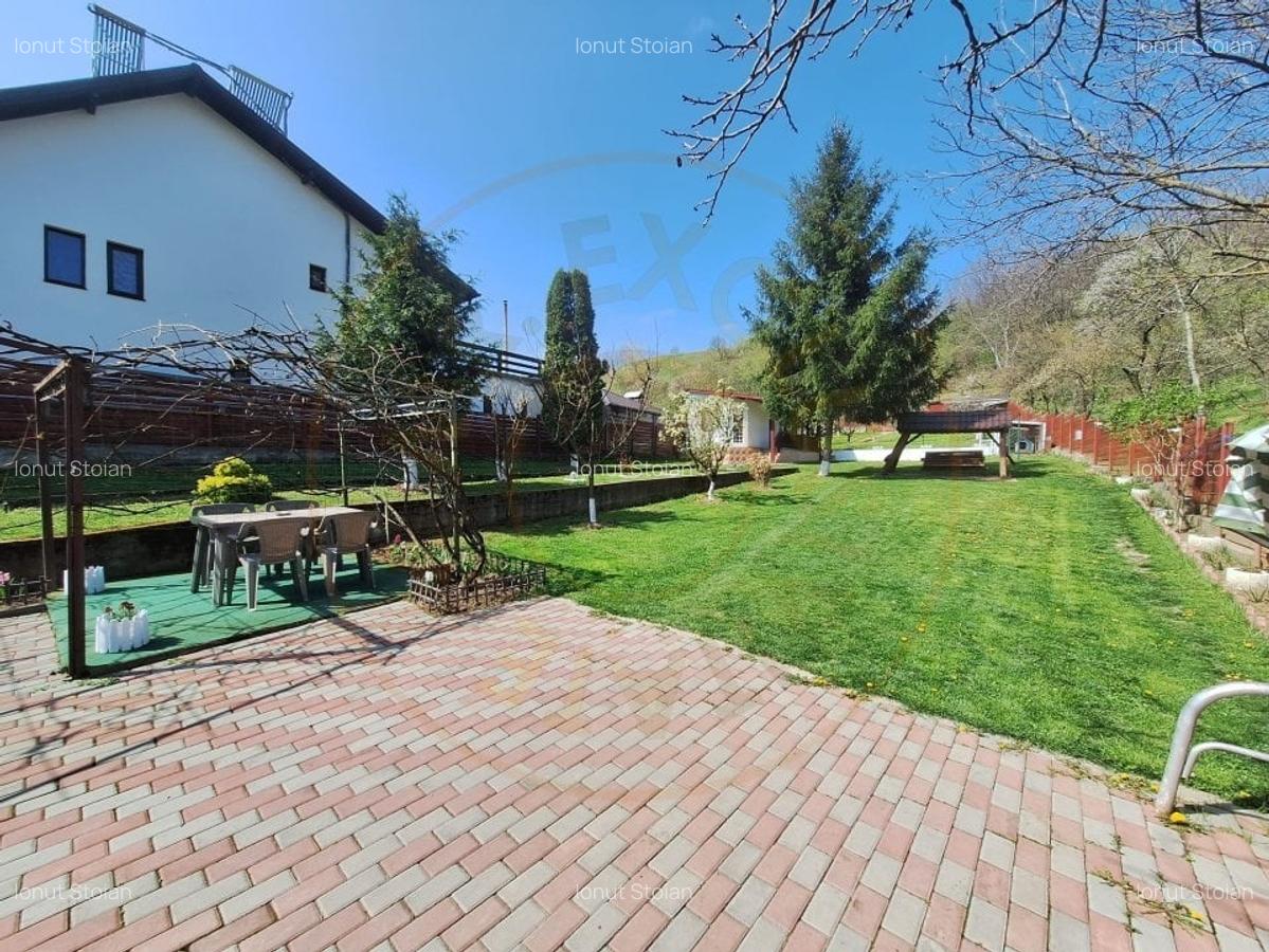 Casa de Vacanta - Un Colt de Rai , Stefanesti-Arges - 8