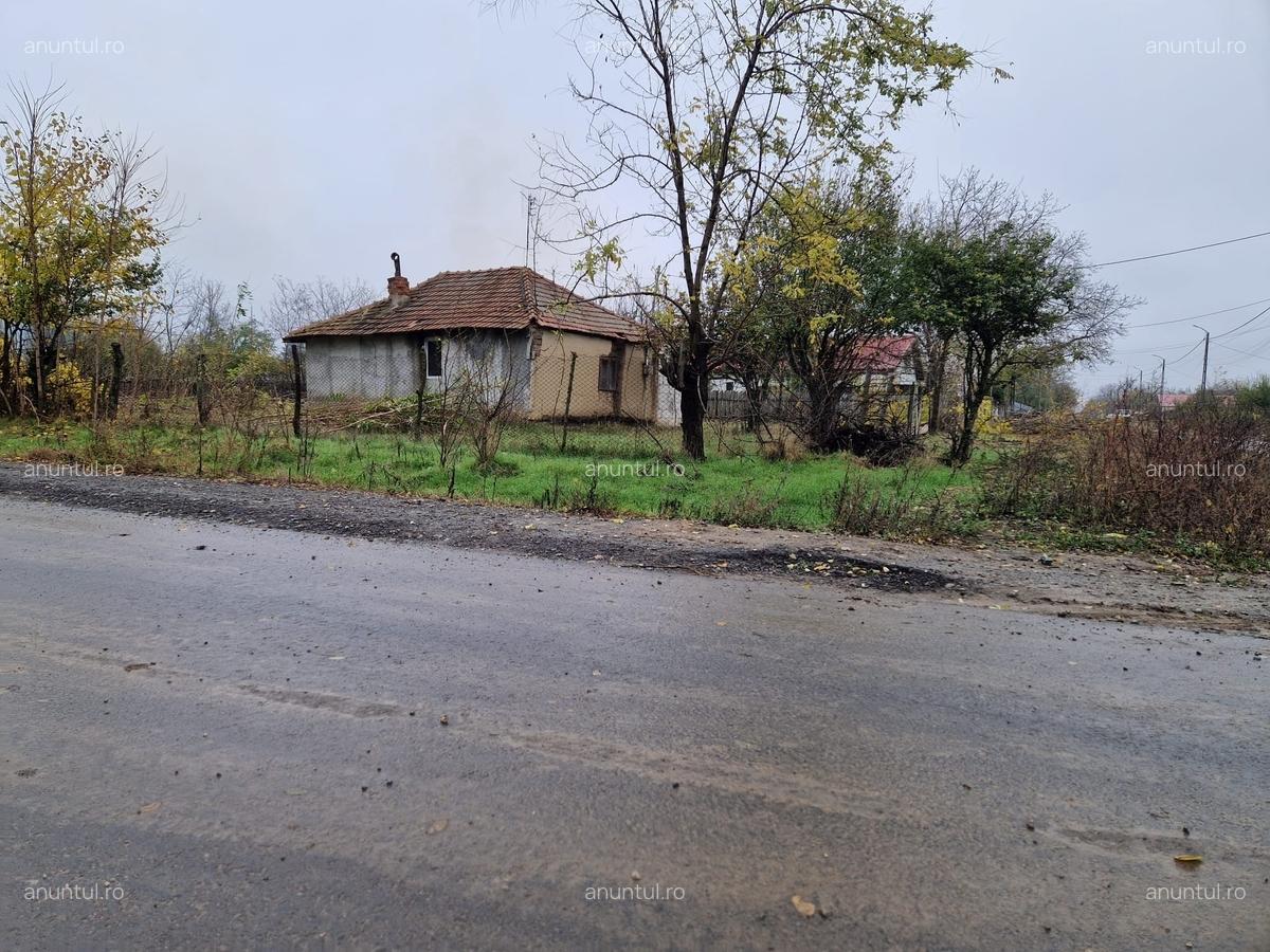 Dor Marunt, Calarasi - 4