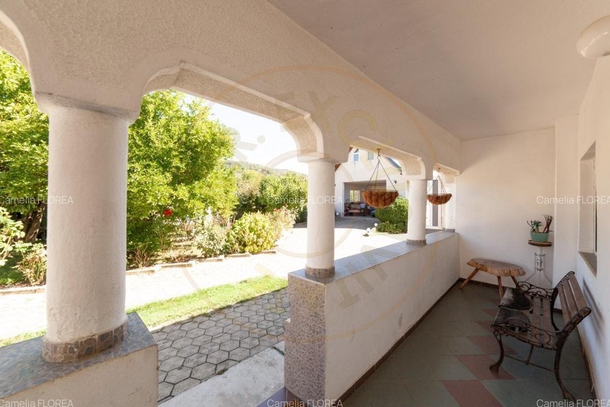 Casa visurilor cu livada roditoare si gradina amenajata Darmanesti-Arges - 7 Casa visurilor cu livada roditoare si gradina amenajata Darmanesti-Arges - 7
