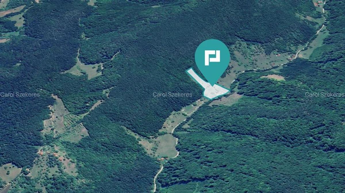 Teren pentru investi?ii in Luncoiu de Jos - 3