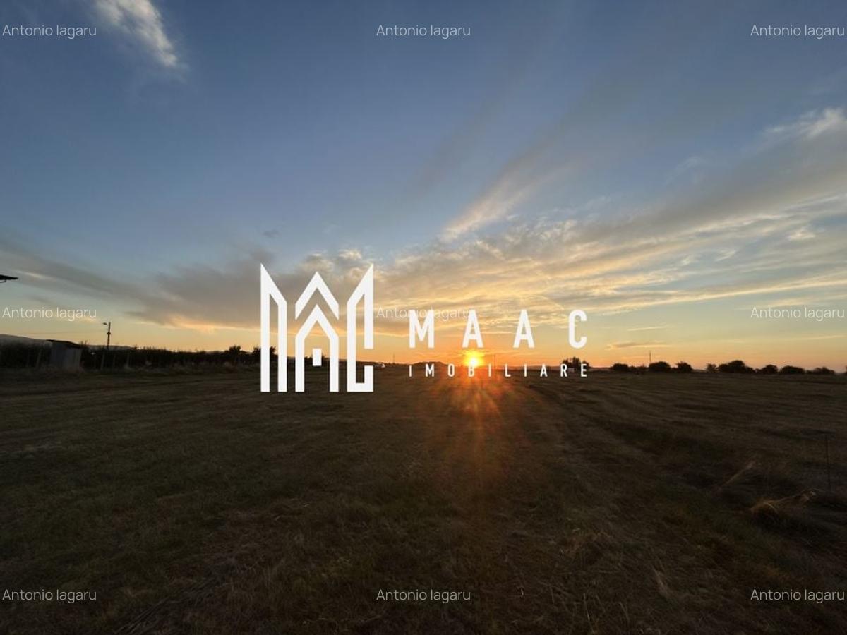 BLACK FRIDAY I Teren Intravilan  I 16500 MP |  Priveliște Panoramică | Turnișor - 2