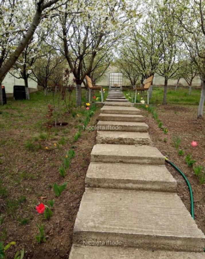 Teren intravilan 500 mp Rediu la 150 ml de soseaua principal - 3