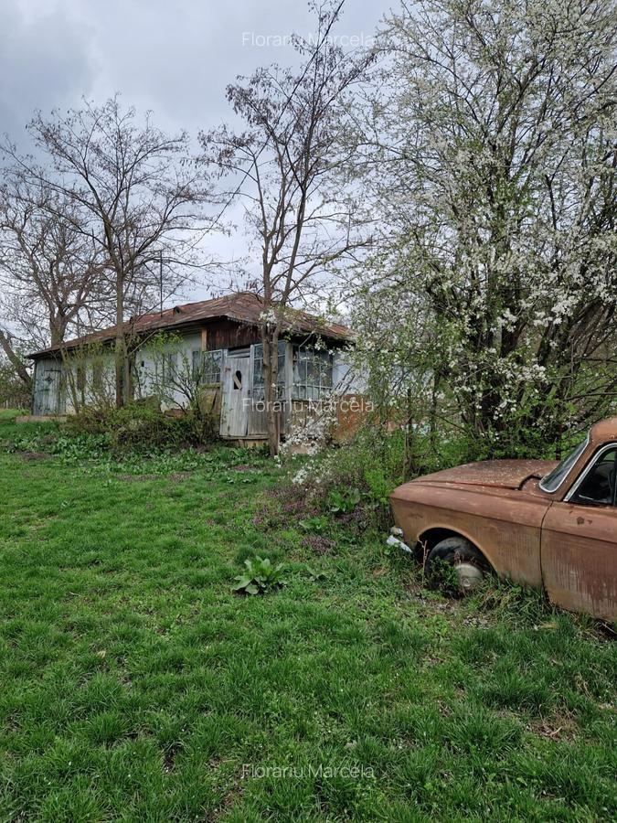 Casa batraneasca cu 4260mp teren la Costesti - 4
