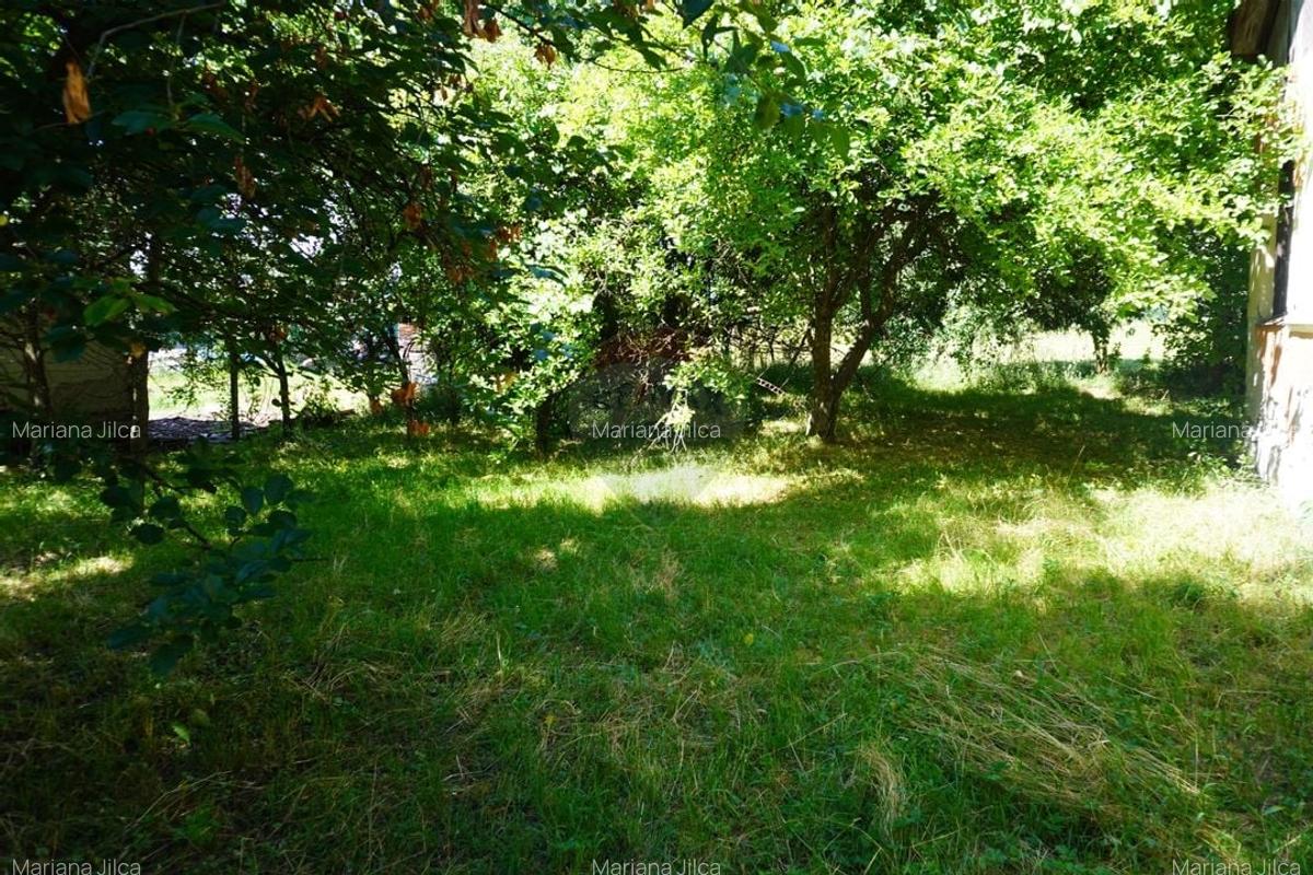 Casă individuală cu 2 camere în Tisa - 2
