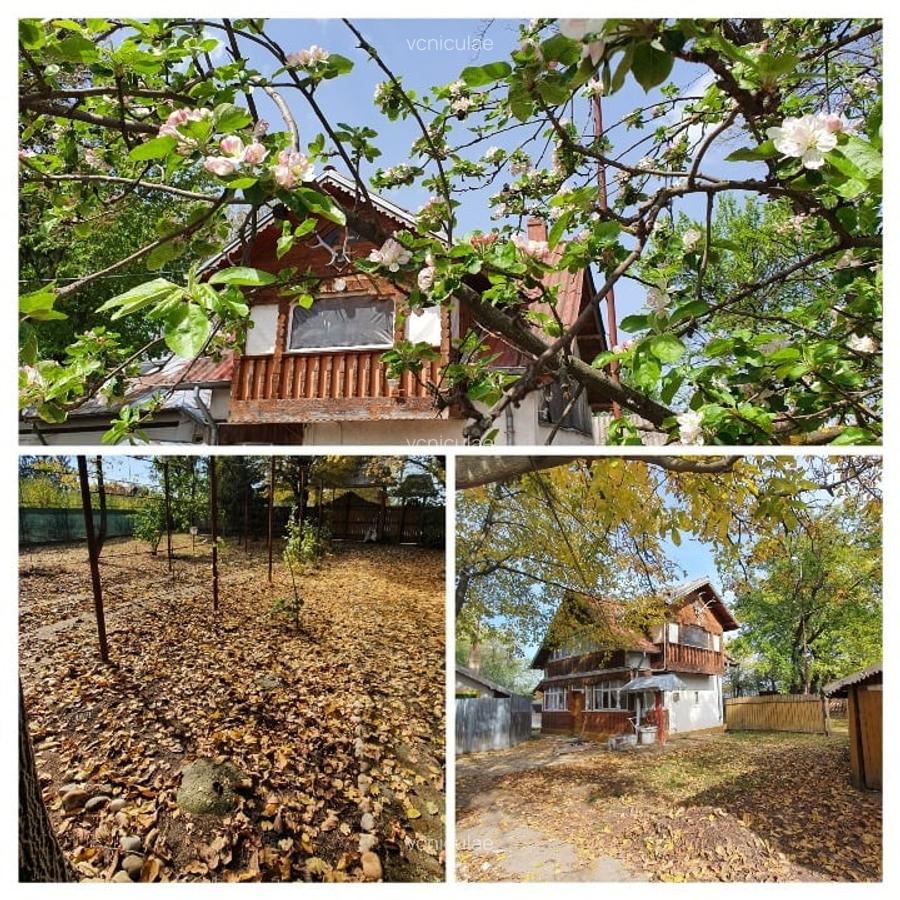 CASA + 3052m² TEREN INTRAVILAN - La iesirea A1 Olteni (30 min Buc) - 2