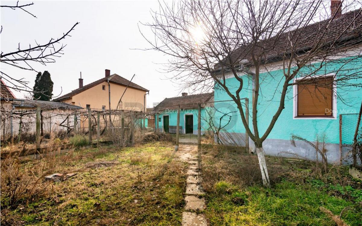 RECO Casa cu teren 3036mp, Bors - 13
