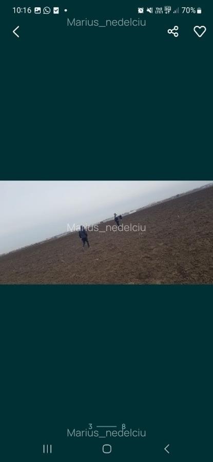 Teren de vânzare Soseaua București Magurele - 7