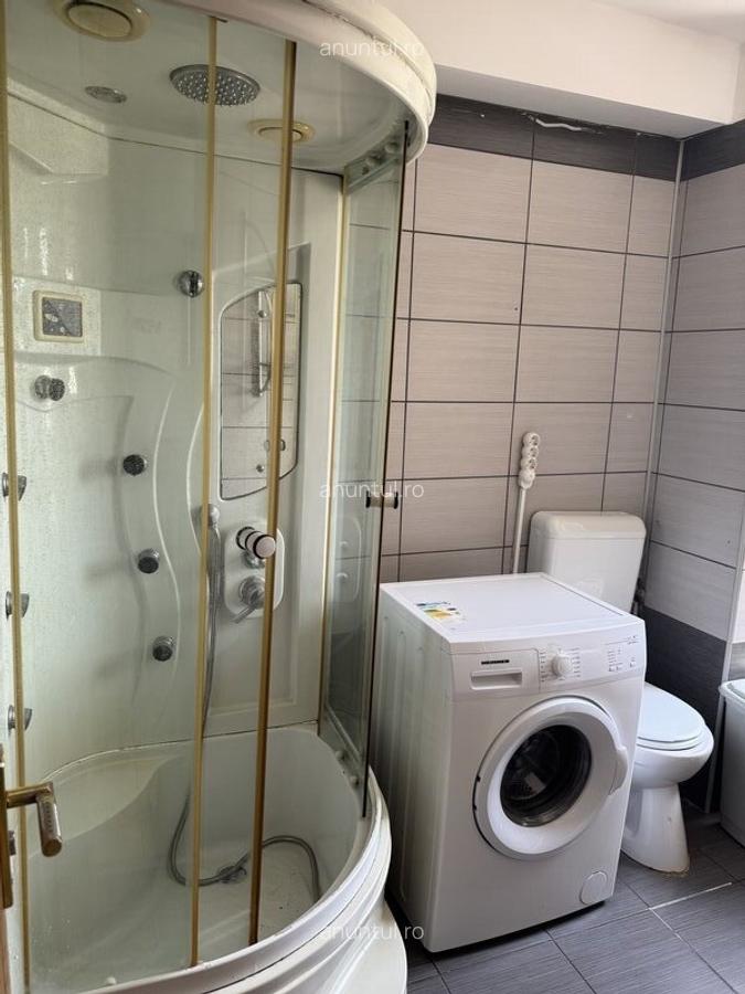 Nicolae Grigorescu, Salajan - 10