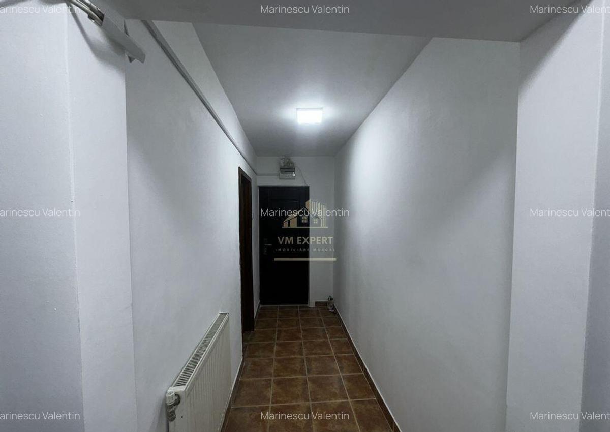 APARTAMENT 2 CAMERE PARTER VISOI - 4