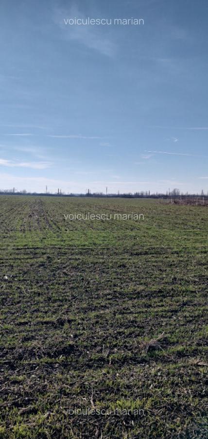 Direct proprietar teren intravilan 700mp Otopeni Odai - 2 Direct proprietar teren intravilan 700mp Otopeni Odai - 2