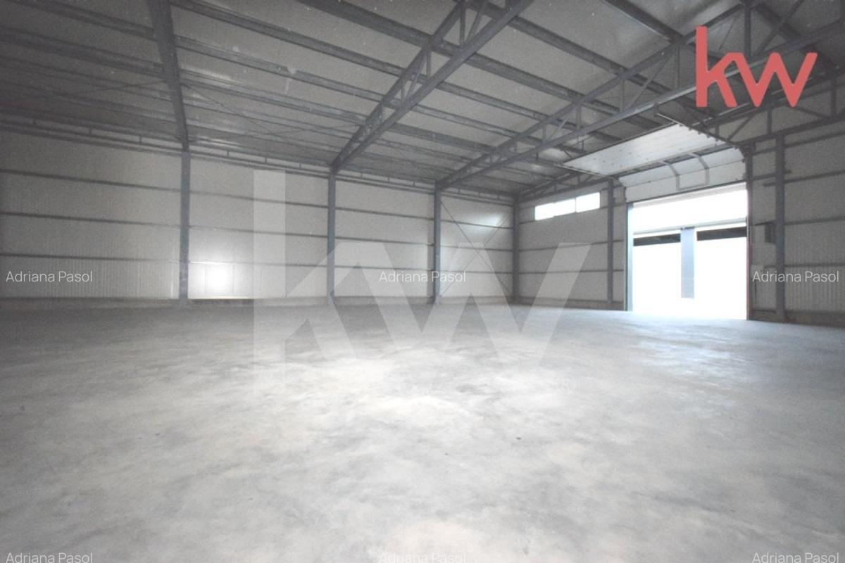 Hale moderne si spatii de birouri de inchiriat, zona aeroportului Craiova - 8