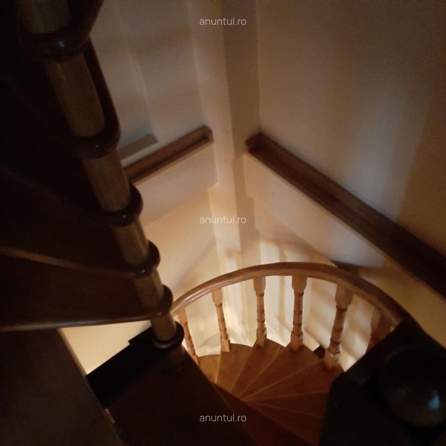 Drumul Taberei, Lidl Moinesti, Spatiu comercial si Vila rezidentiala - 14