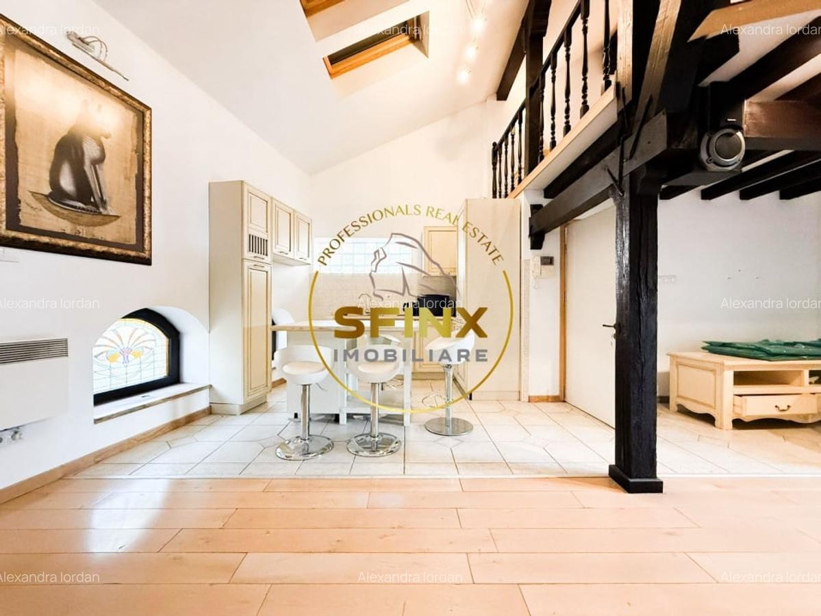 Vila eclectica individuala, curte proprie zona Armeneasca - 24