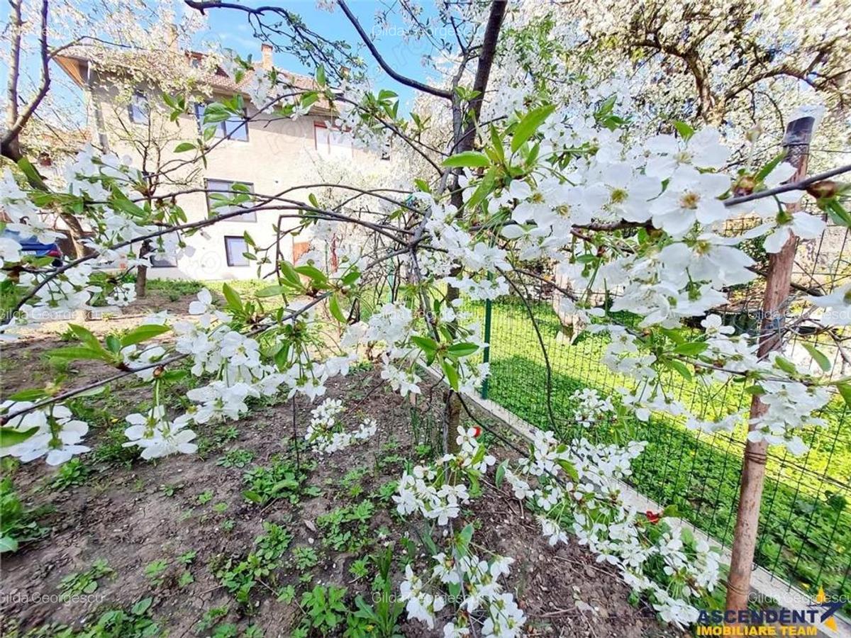 Casa amenajata cu stil, acces auto, curte, terase, zona Star - Centrul Istoric, Brasov - 3