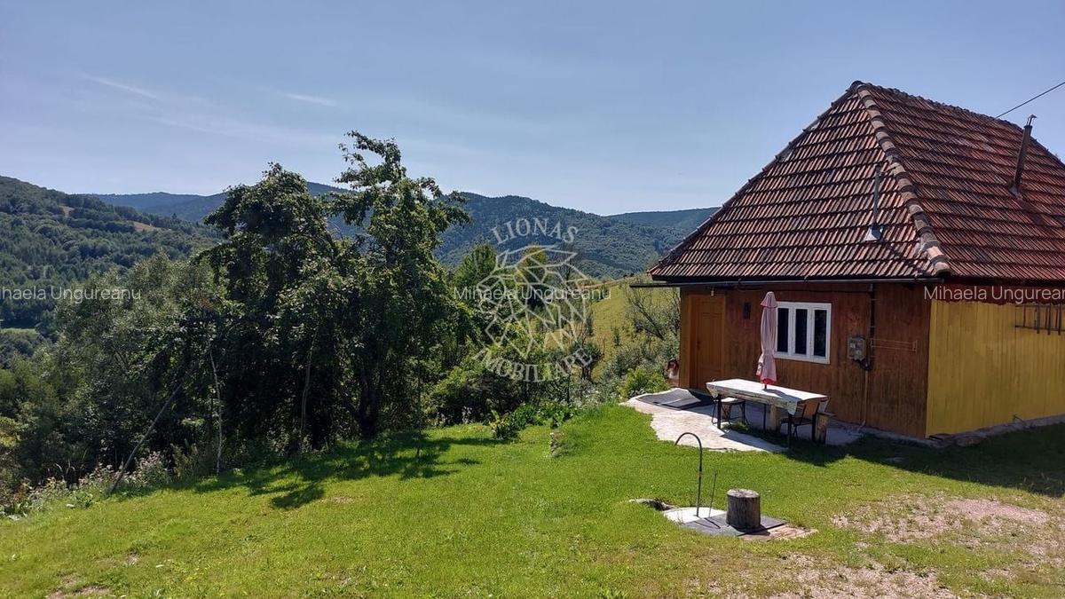 Teren intravilan zona montana investiție Rachitele Cluj 4.330 mp - 3