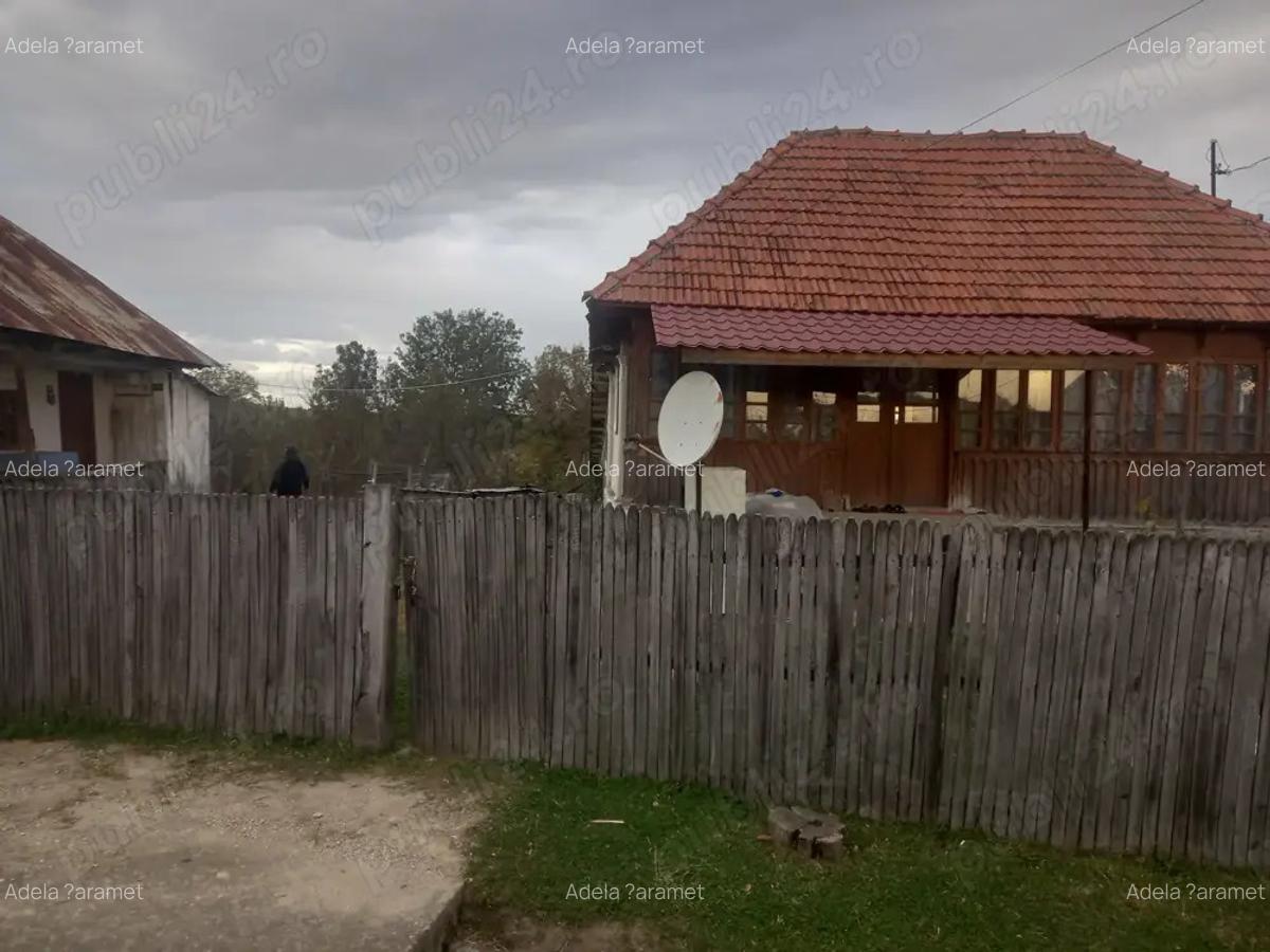 Vand casa batraneasca - 7