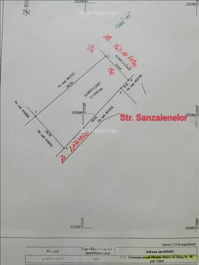 678 mp. str. N.Stoica de Hateg 96, colt cu str.Sanzaienelor/Dafinului - 6