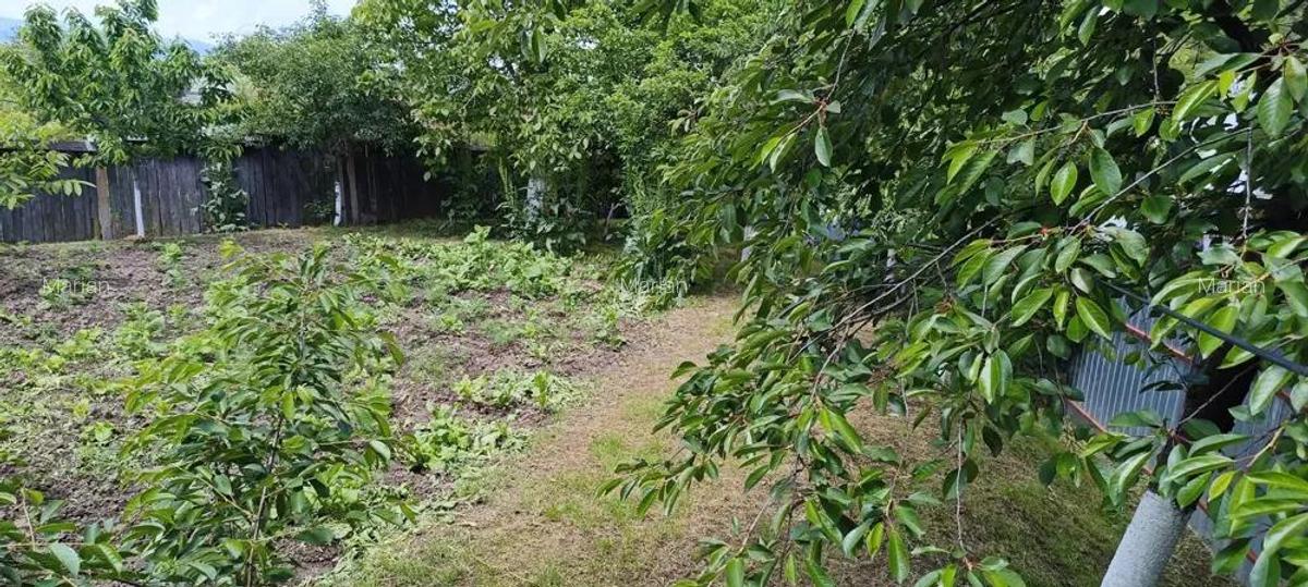 Vand casa plus teren in Sat Larga, com Dofteana, jud. Bacau - 2