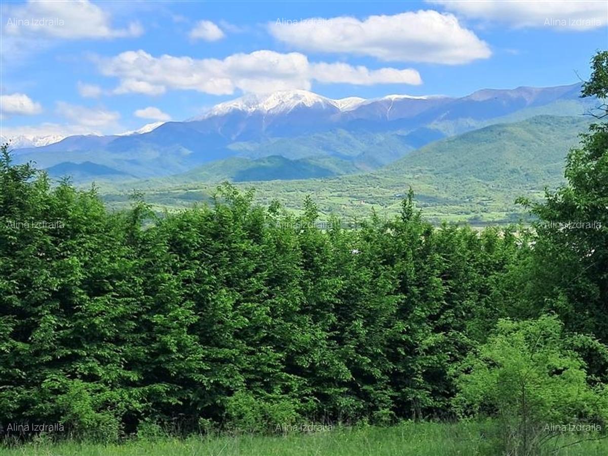 Teren  de vanzare la liziera padurii in Talmaciu - 6
