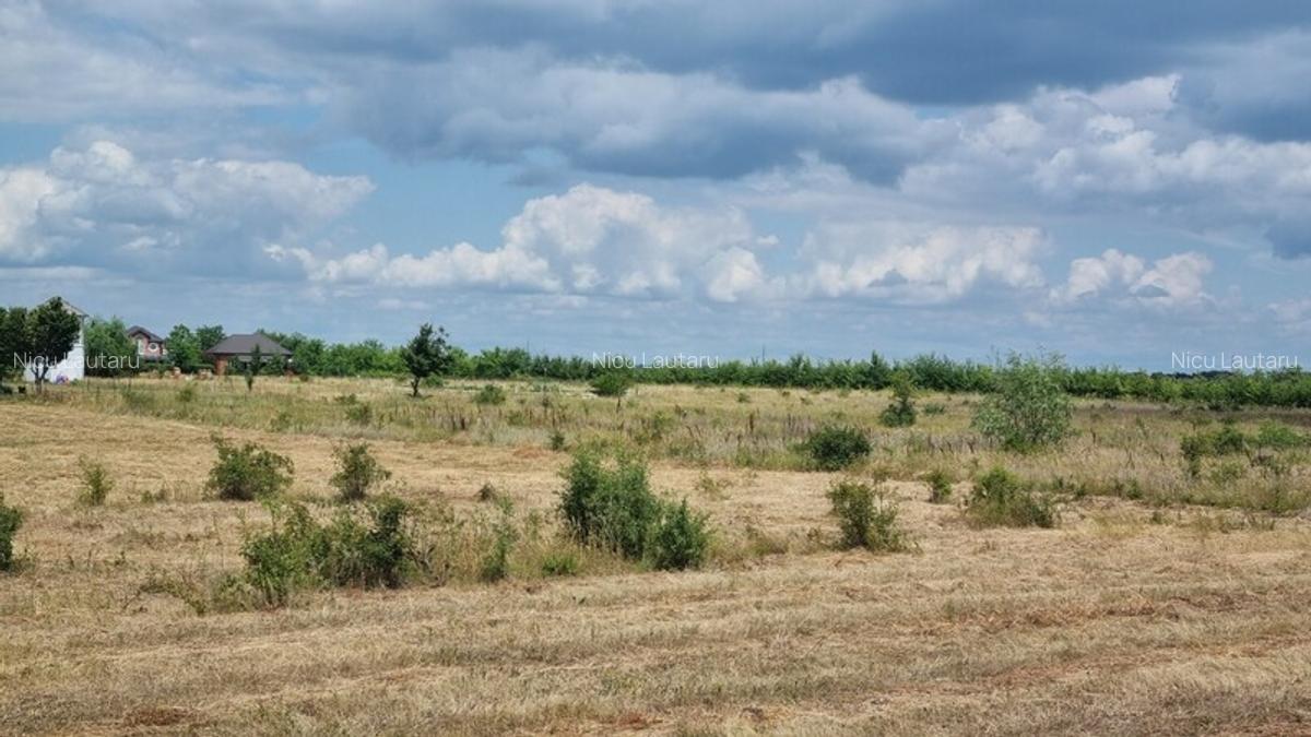 Vanzare Teren intravilan Balotesti Saftica 10000mp - 5