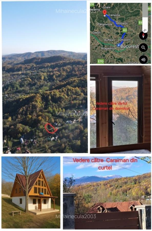 Casa noua, deosebita, P+1+M, living înalt de 7m - 8 Casa noua, deosebita, P+1+M, living înalt de 7m - 8