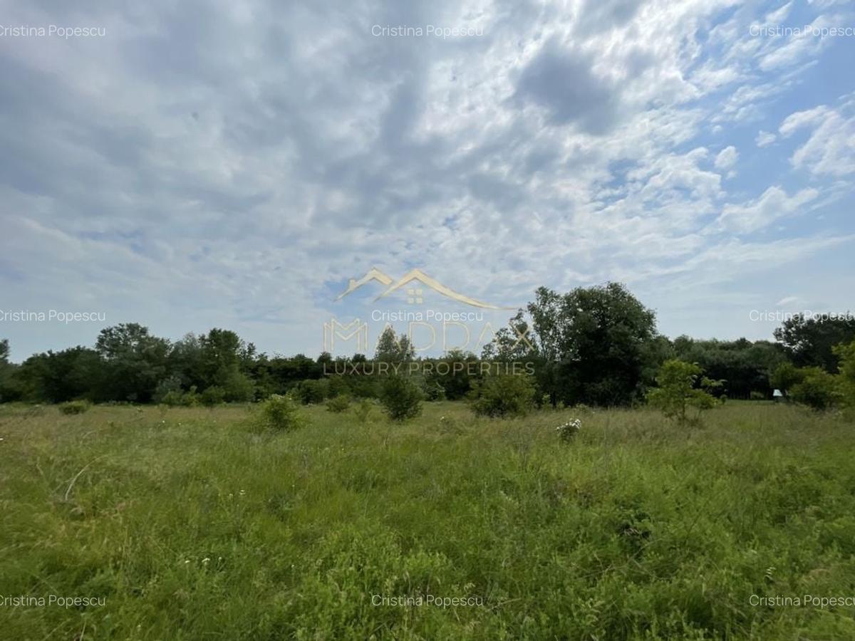 Teren intravilan***1439 mp***Cretesti-Vidra-Ilfov - 12