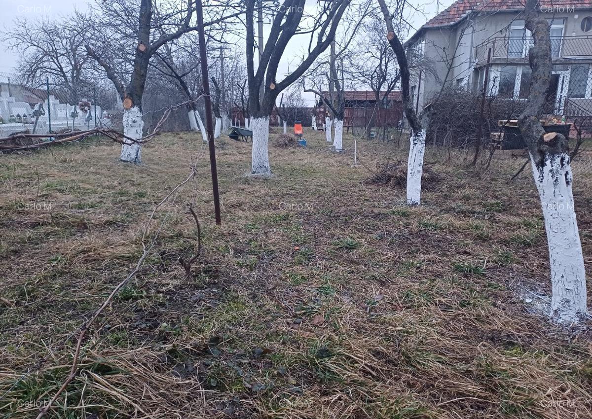 Direct de la proprietar Teren intravilan 4500mp cu casa Timisoara - 2