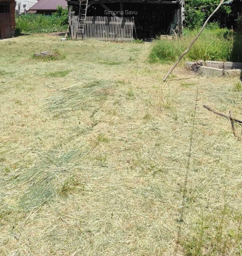 Casa 3 camere libera la vanzare RASNOV - 3