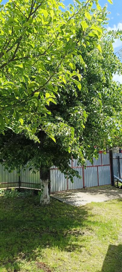 Vand casa plus teren in Sat Larga, com Dofteana, jud. Bacau - 7