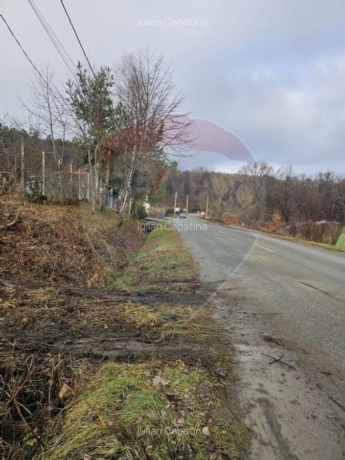 DE VANZARE TEREN INTRAVILAN CISNADIOARA Str. SIBIULUI DJ 106D - 10