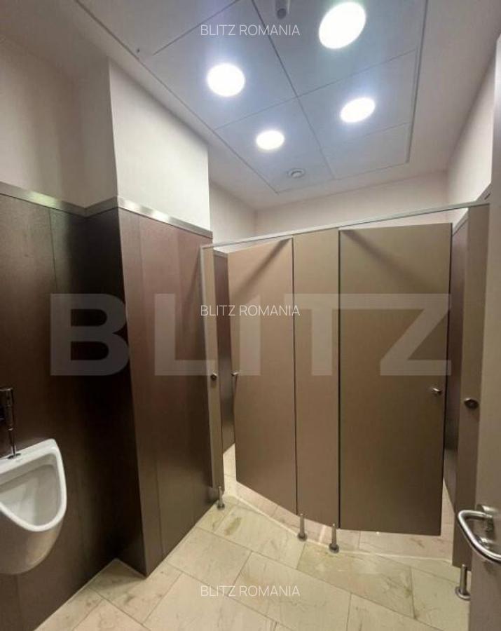 Spatiu de birouri, 375 mp, suprafete flexibile, Bd. Cetatii - 18