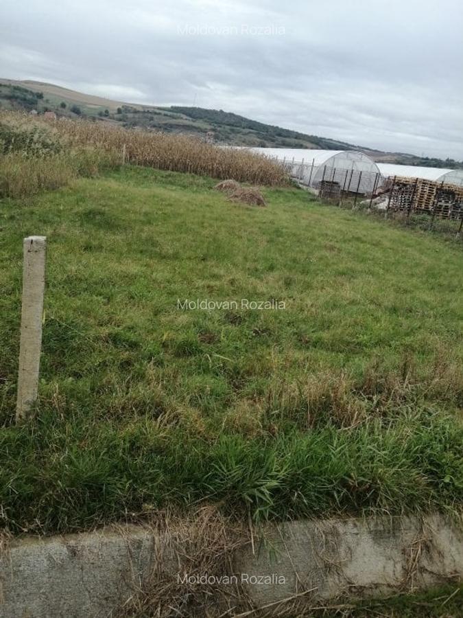 Vand teren intravilan ,Santana de Mures,1706mp,certificat de urbanism.(Cod 33F). - 6