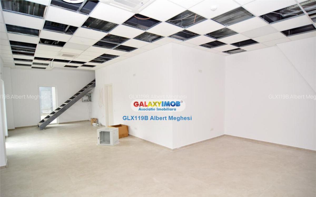 Hala 482 mp Chiajna Centura - 4