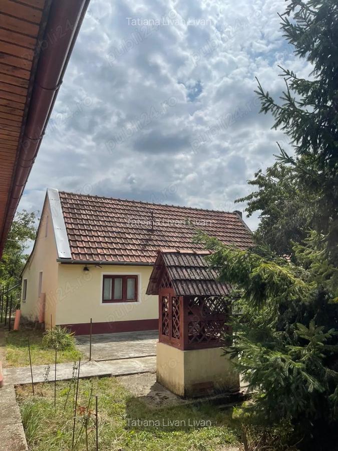 Vand casa cu gradina - 2