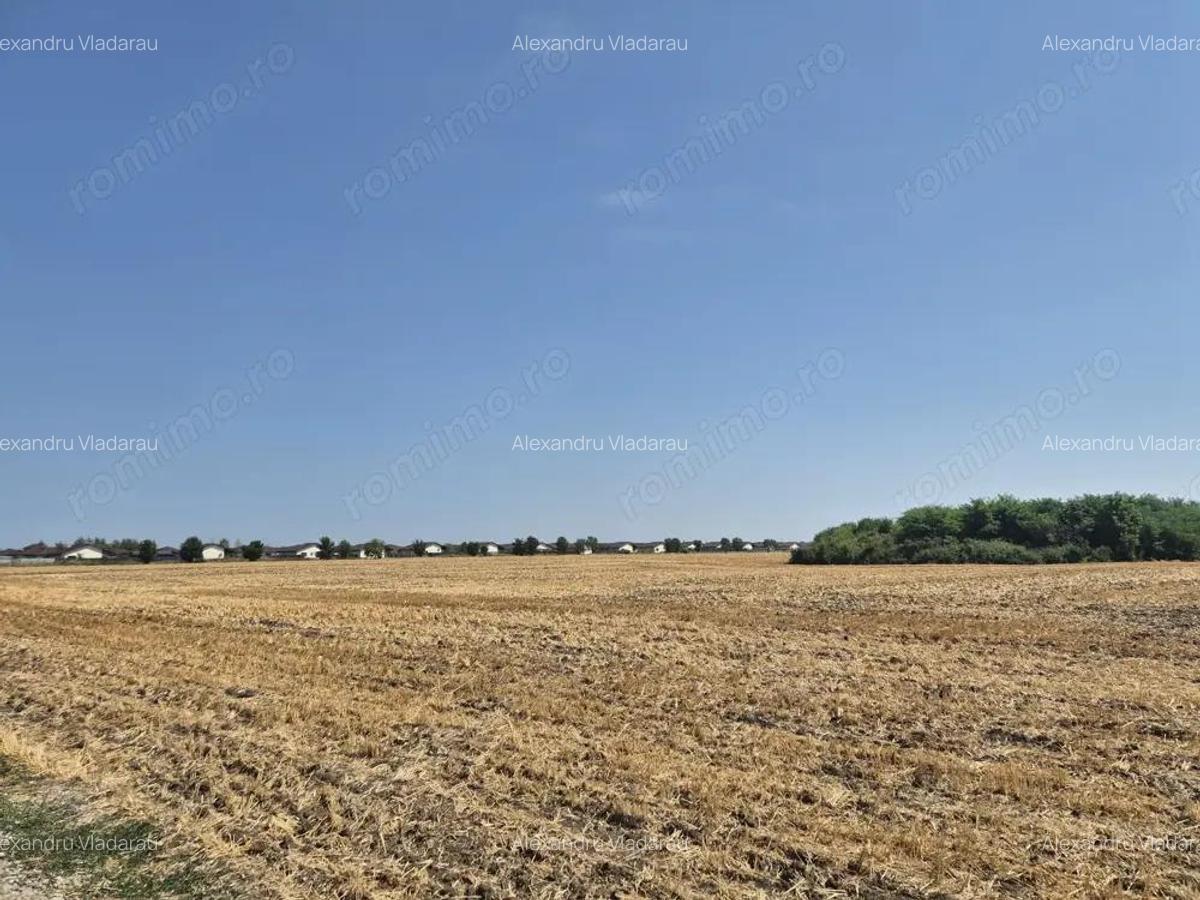 Teren intravilan 4428 mp - Balotesti - 5