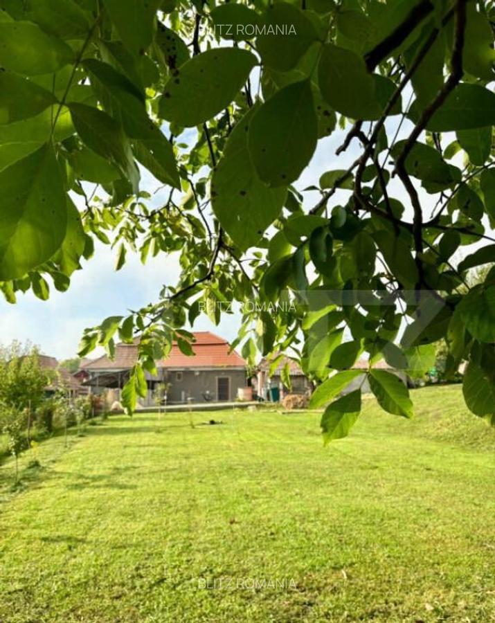 Casa renovata in Luna, langa Campia Turzii - 9