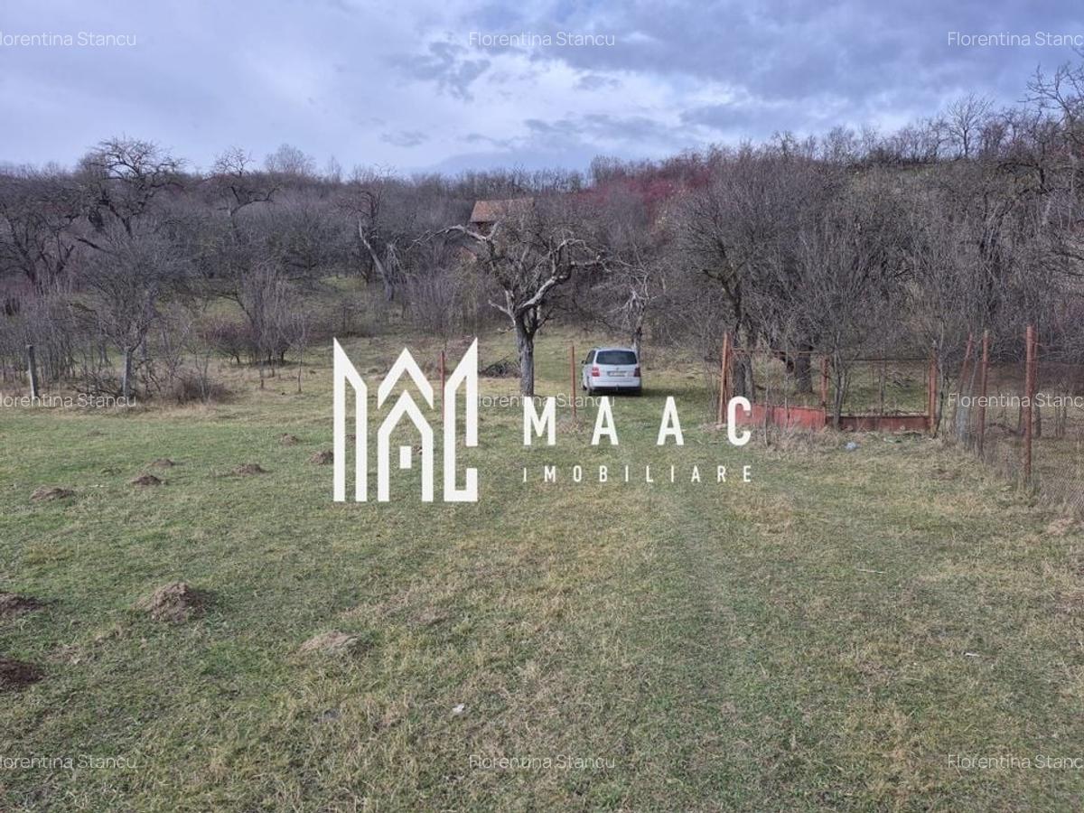 Teren de vanzare | Orlat | Extravilan - 7