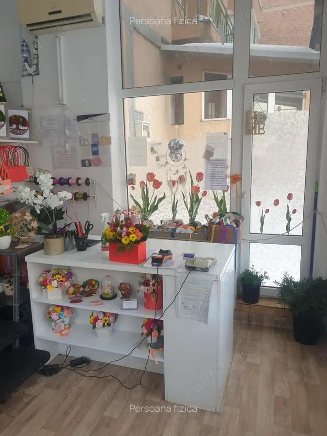 Spatiu zona Garii statia Faget 38 mp vizibilitate stradala - 10