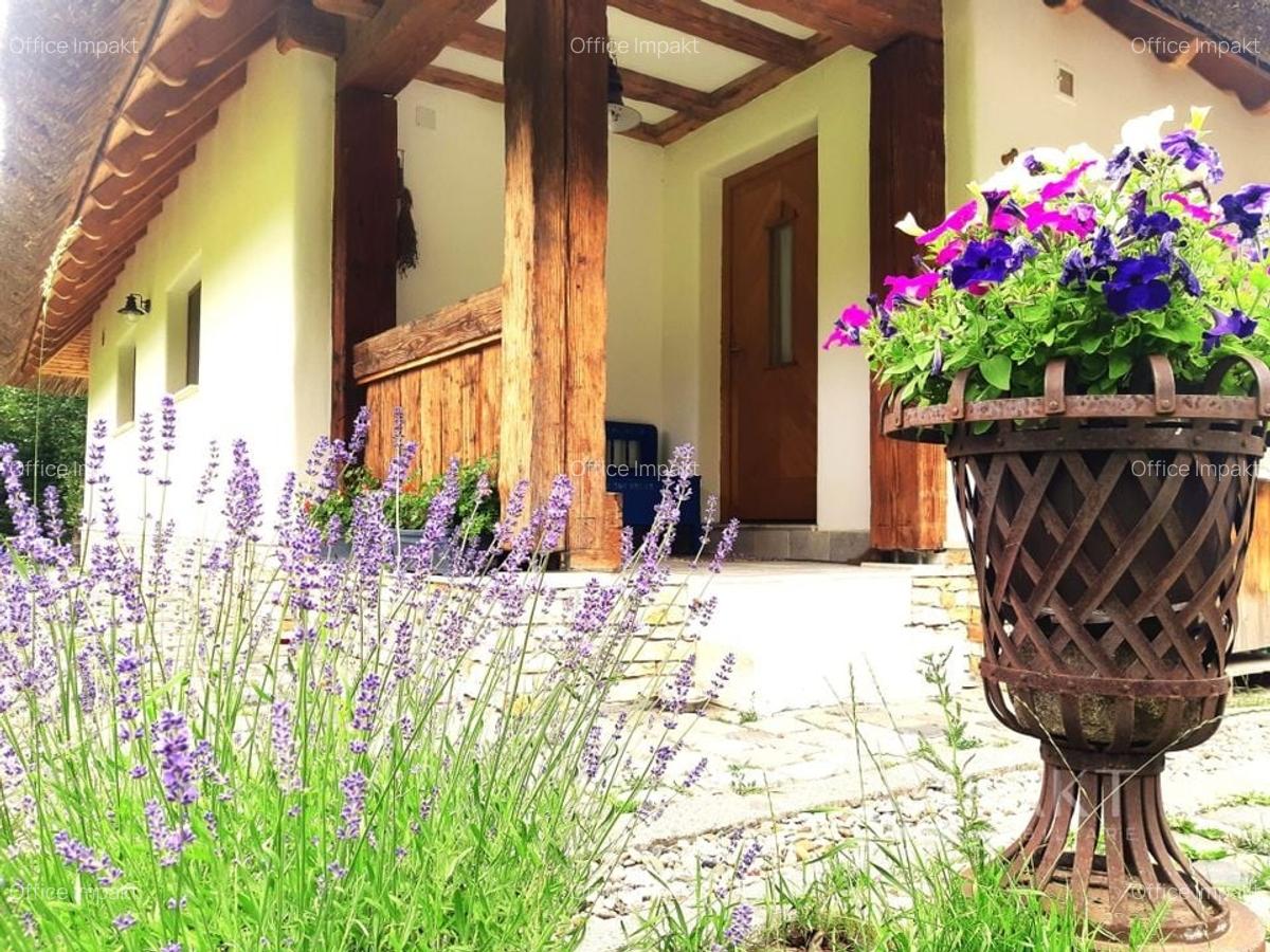 Casa traditionala de vis, aproape de Cluj-Napoca - 4