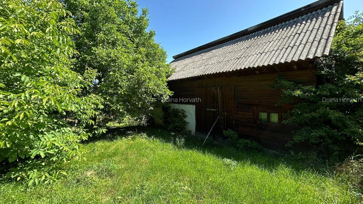 Casa din barne de lemn - Sohodol - 4