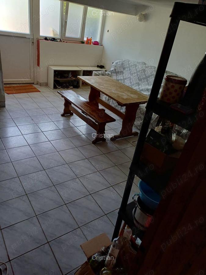 Casa de vacanta Lac Surduc - 3