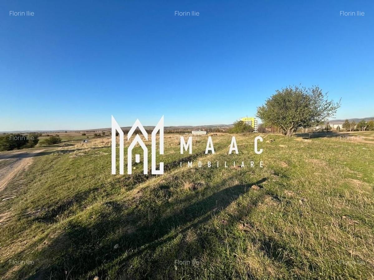 Teren 3000 mp  | Intravilan | Zona Turnisor-Magnolia - 1