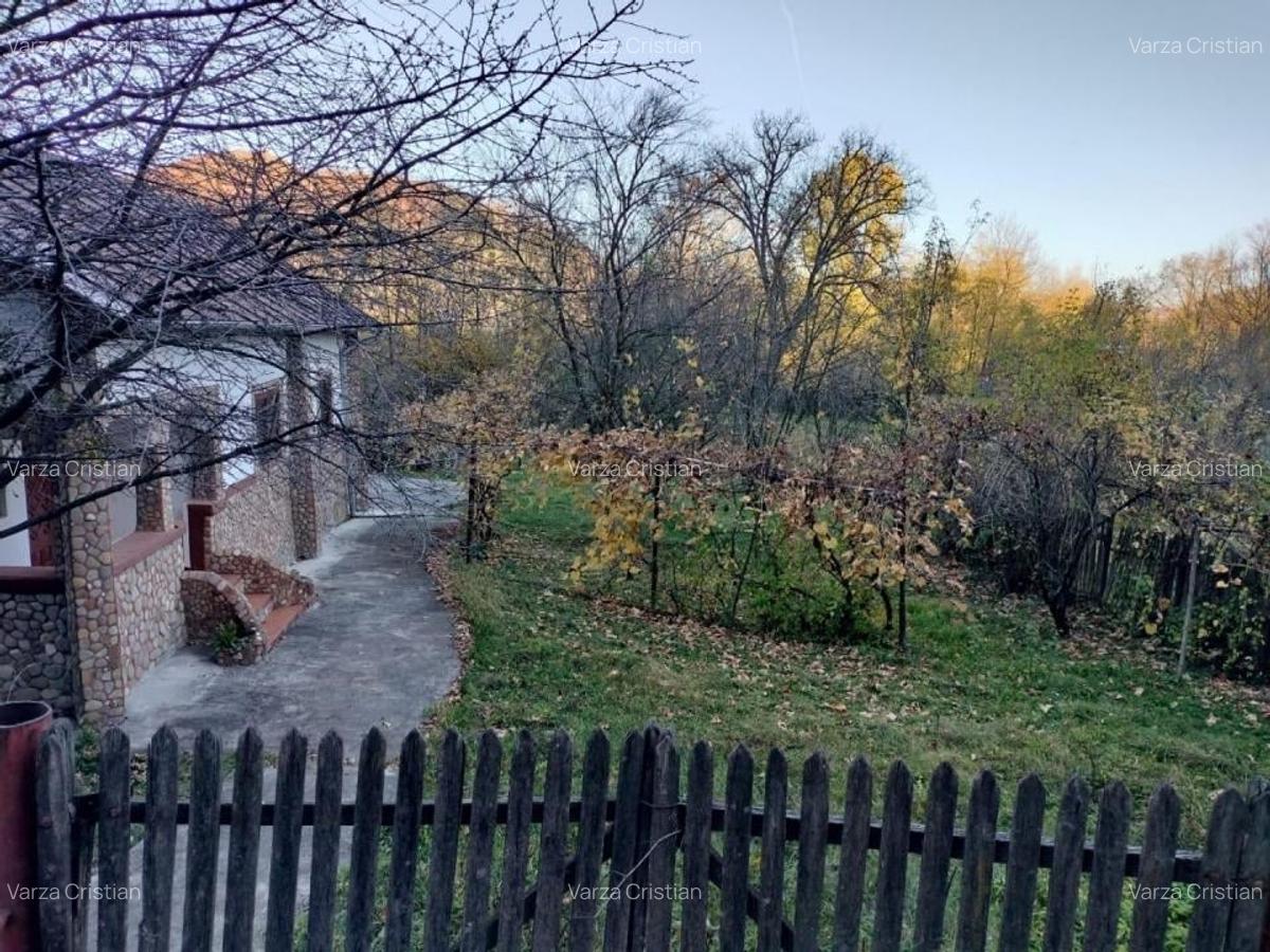 Iedera, Cricovul Dulce, casa de vanzare 90mp, teren 2450mp - 10