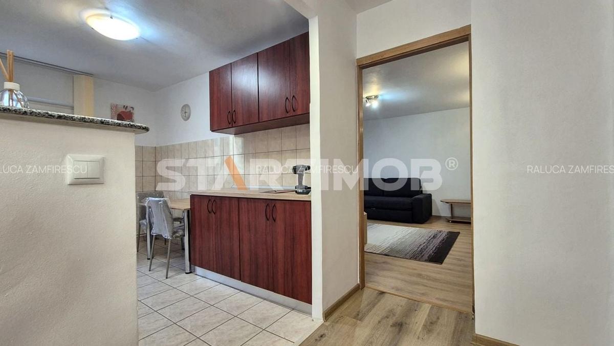 Apartament 2 camere Scriitorilor - 13