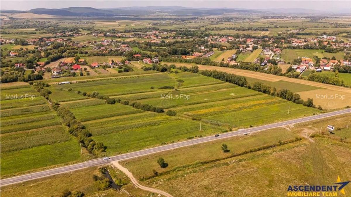 Teren extravilan Lunca Calnicului langa E574 - 11